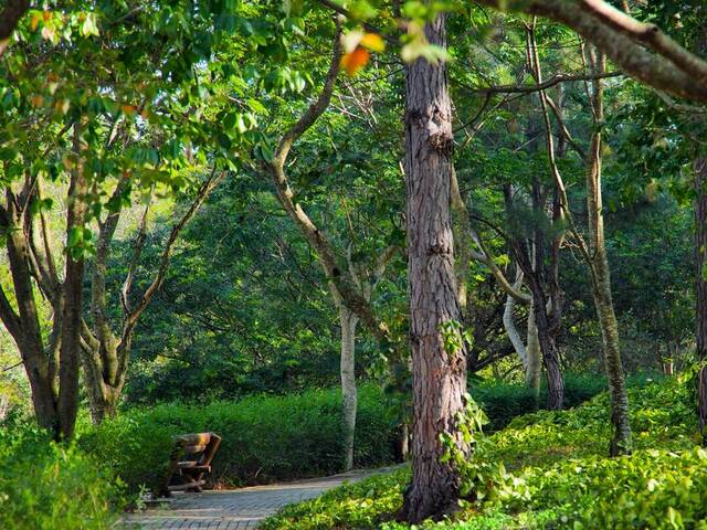 Terreno em condomínio para Venda em Itu - 5